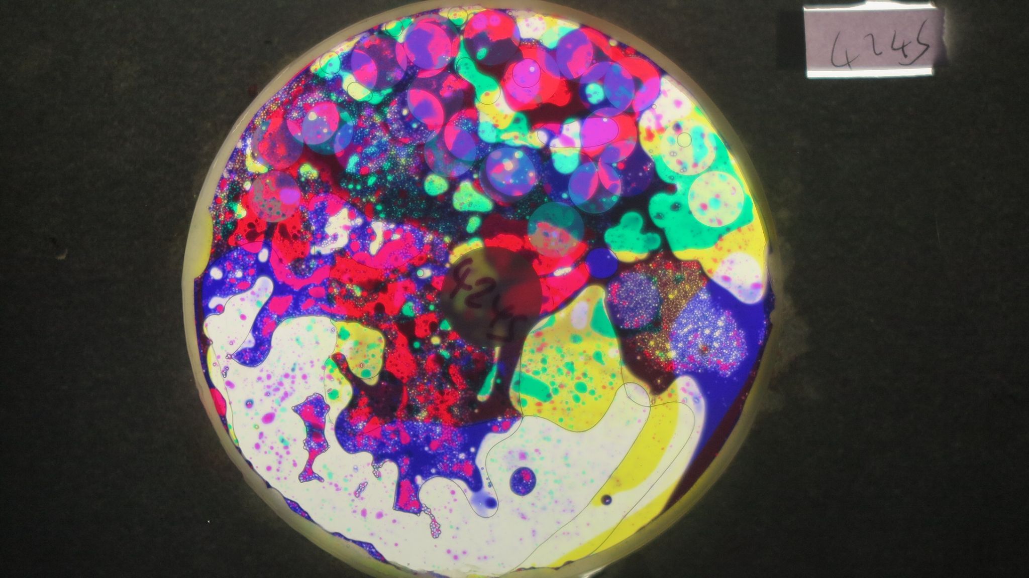 BV4245 bubble vision oil wheel